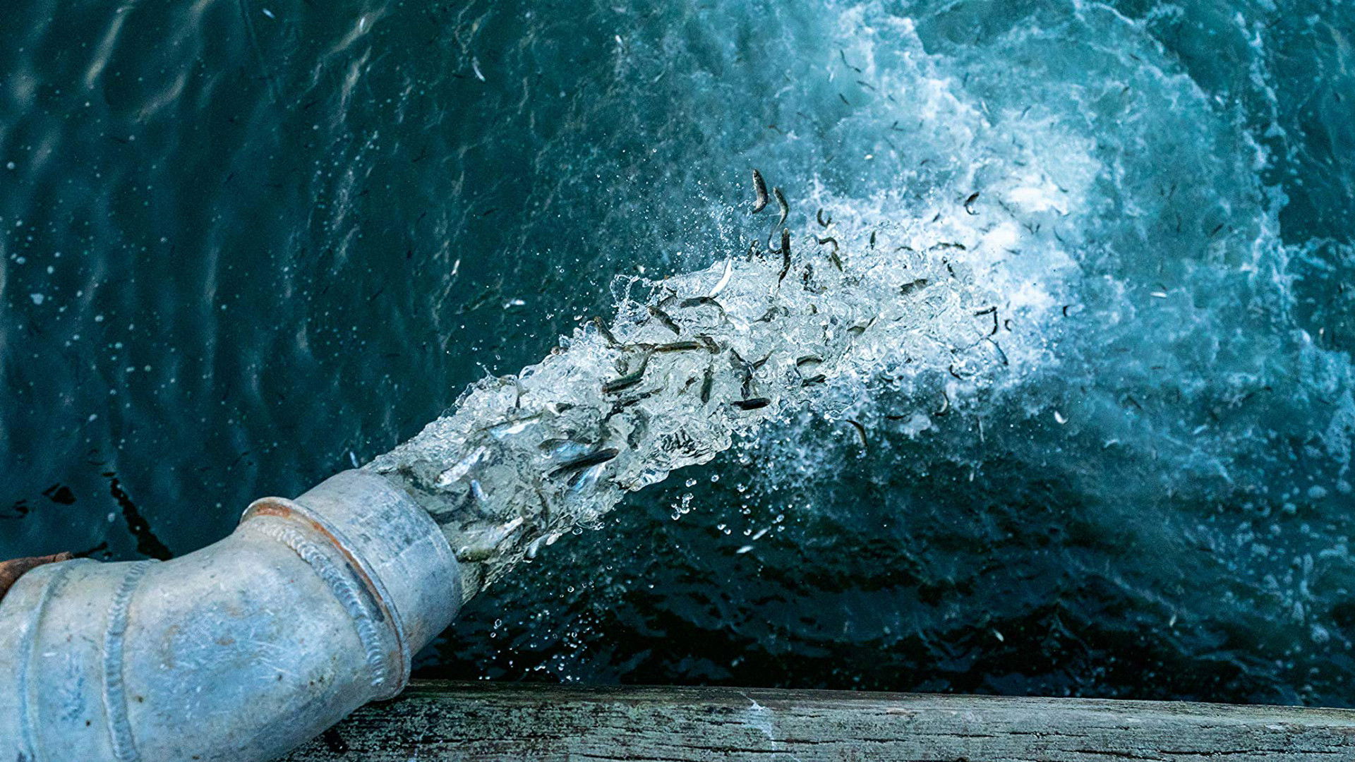 Artifishal Background