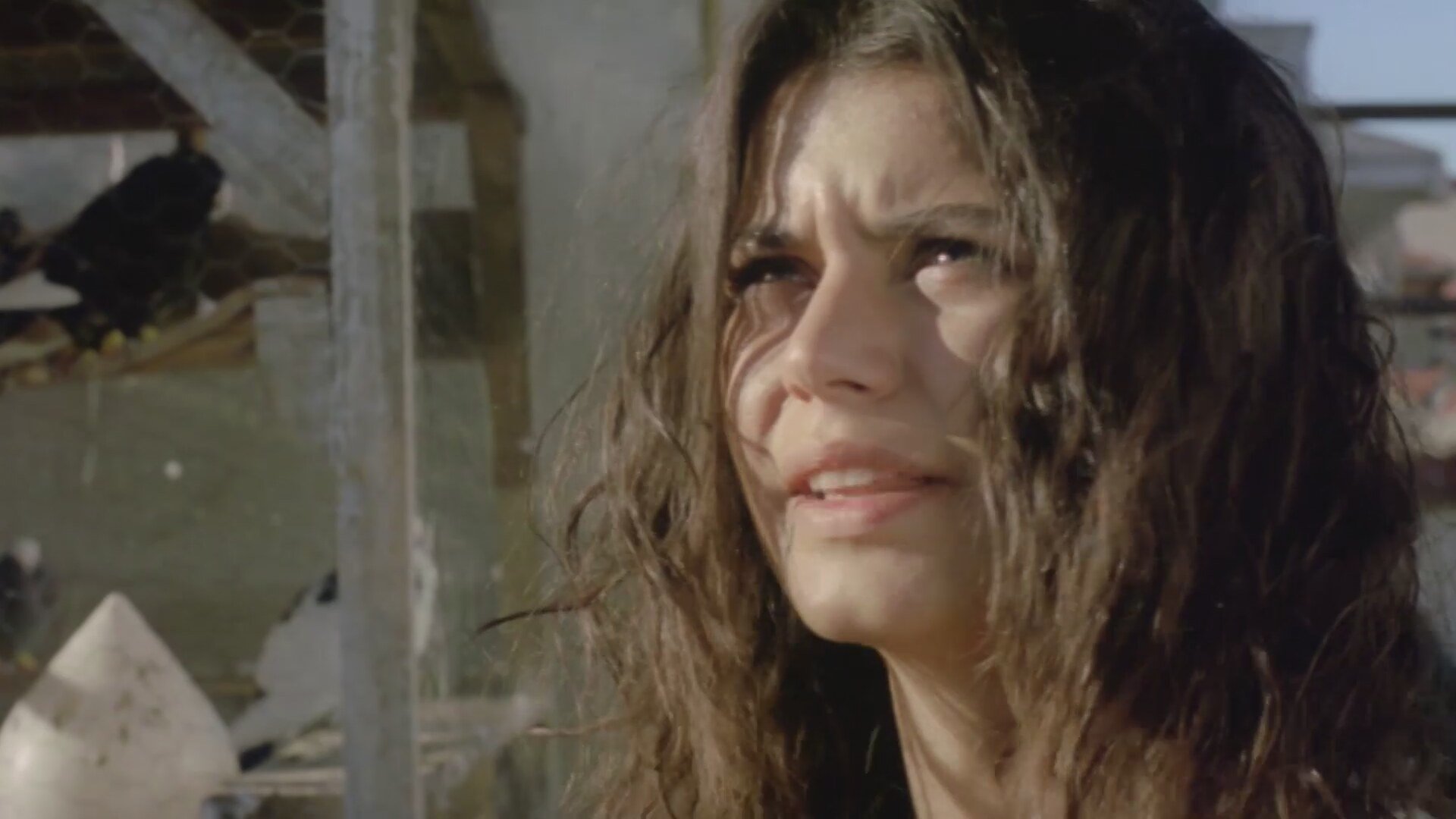 Wings of the Night Background