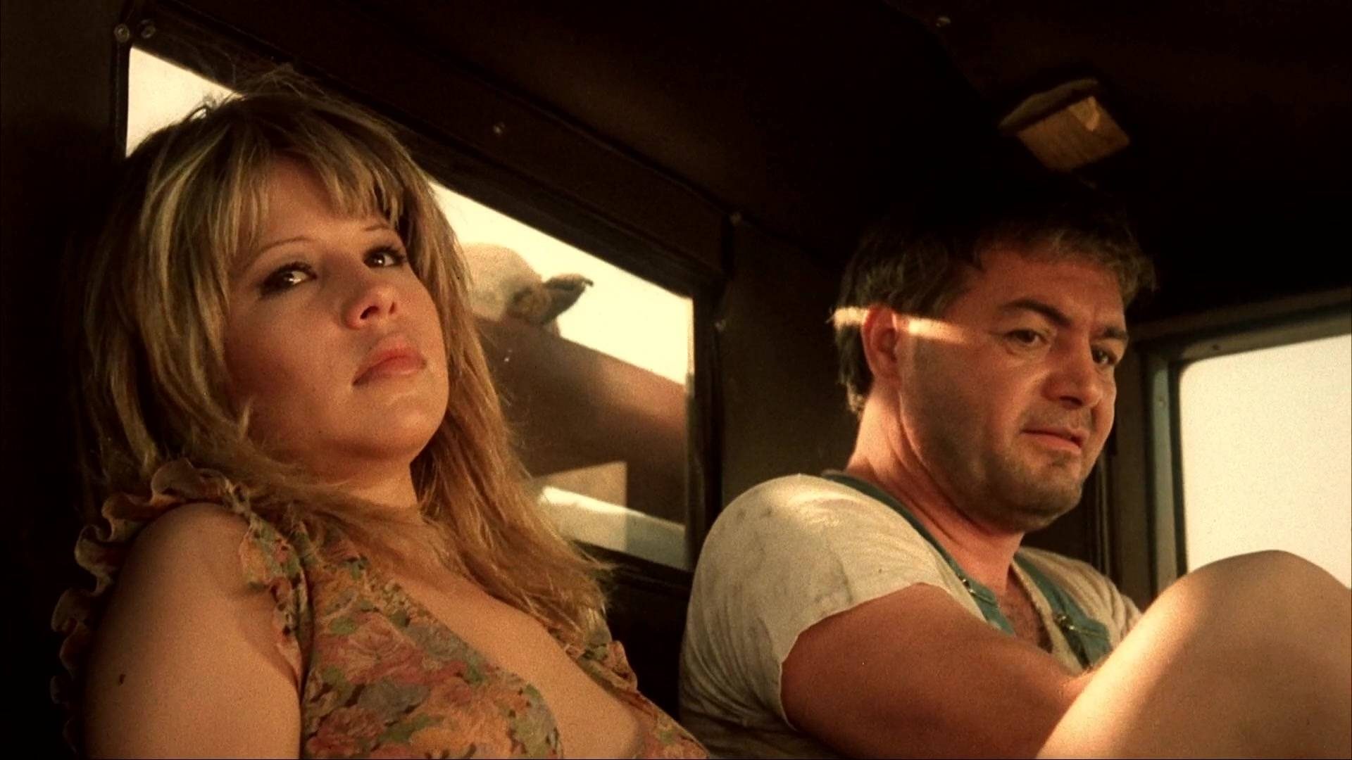 Butterfly Background