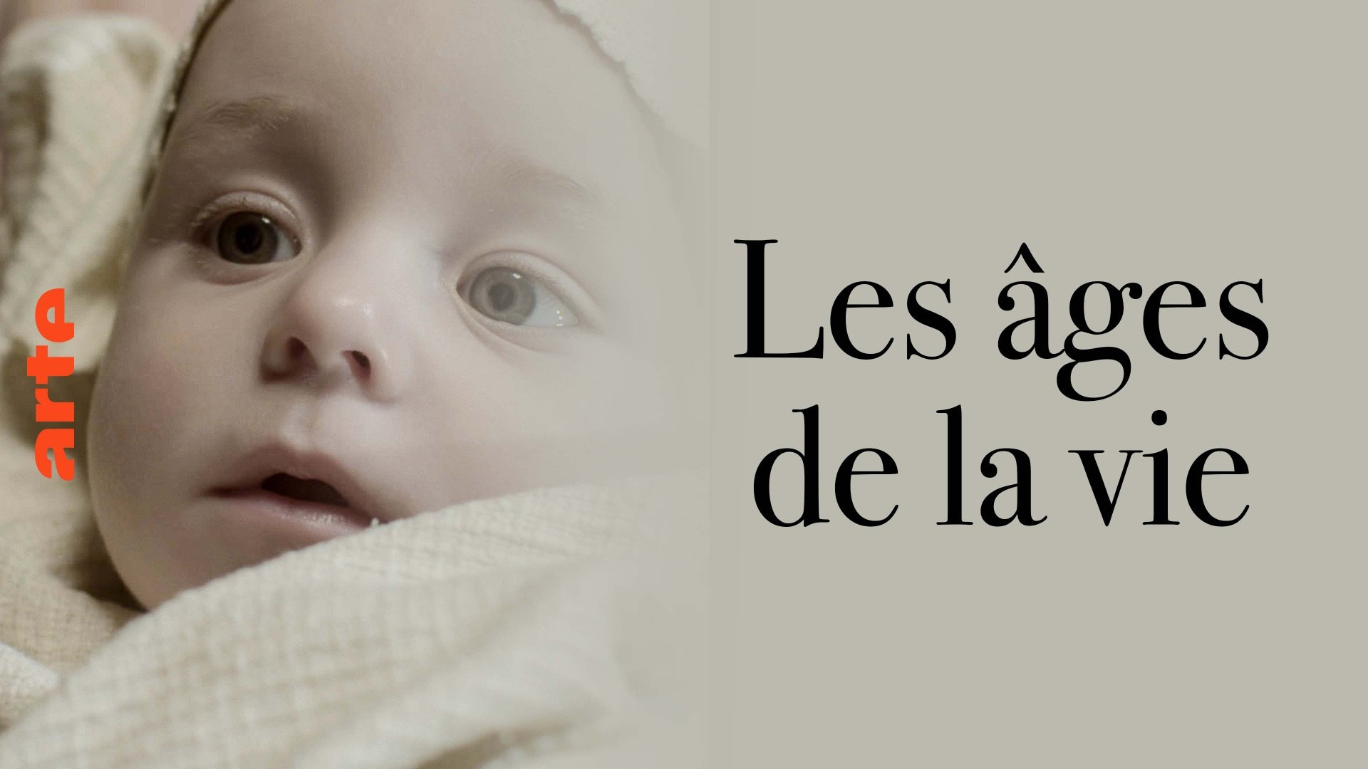 Das Uhrwerk des Lebens Background