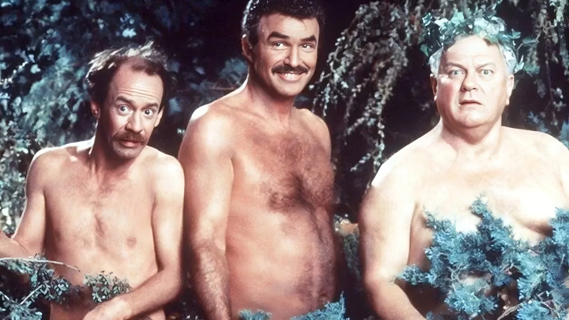 Evening Shade Background