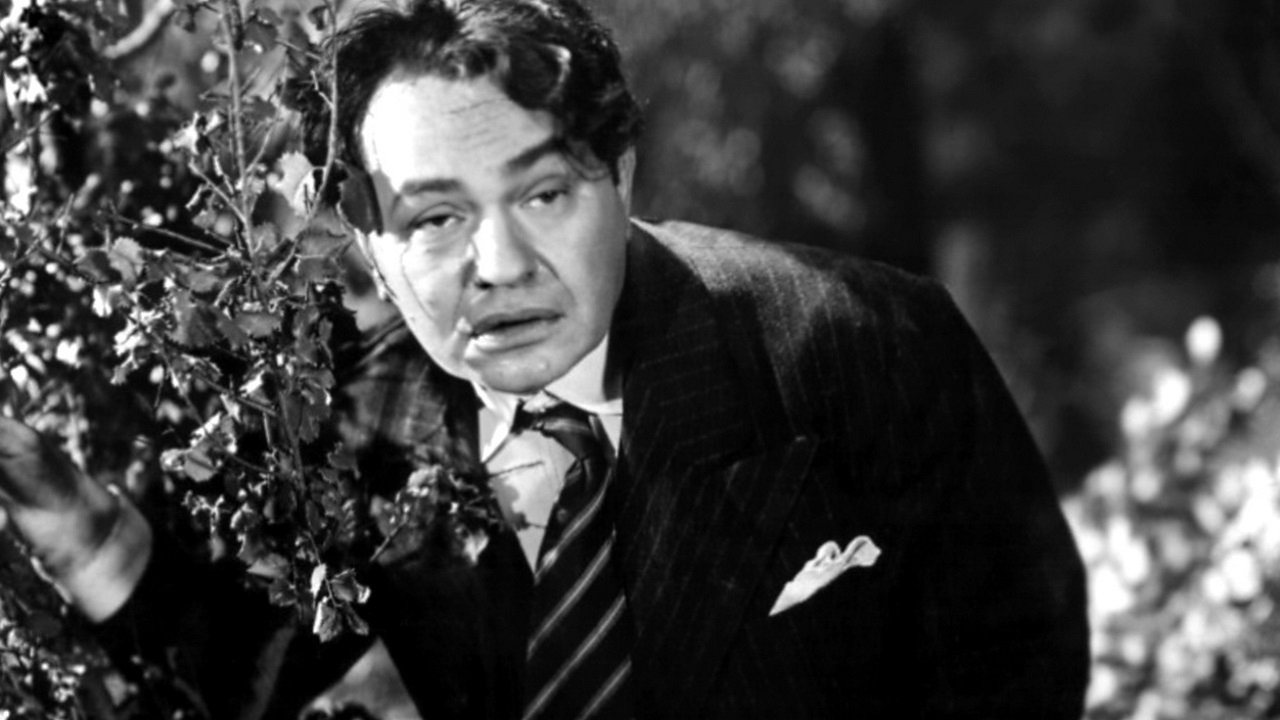 Brother Orchid Background