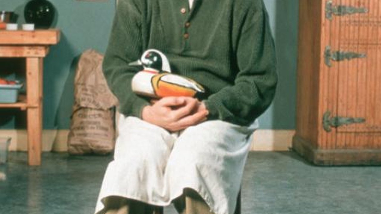 Rare Birds Background