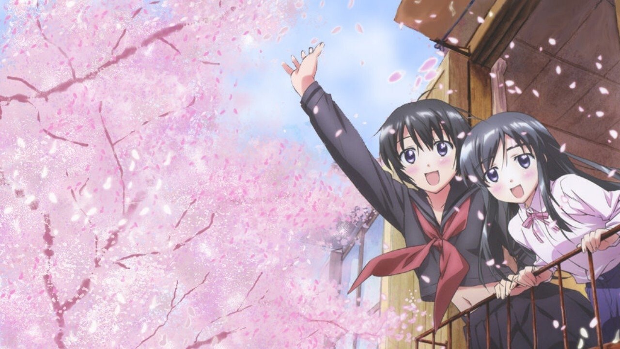 Poor Sisters Story Background