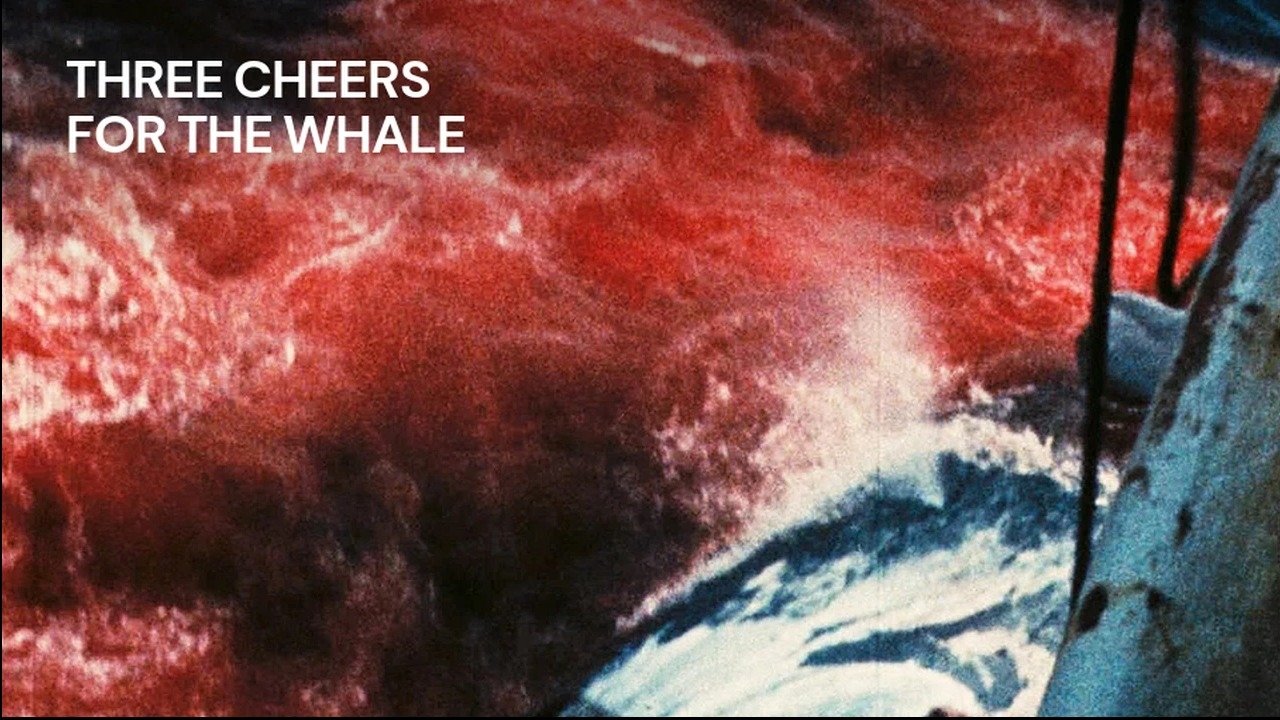 Three Cheers for the Whale Background