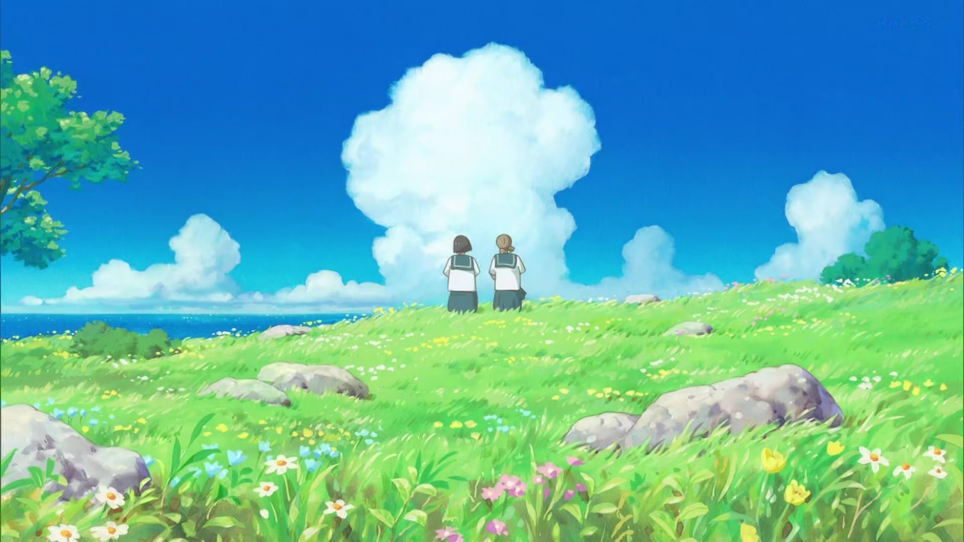 Cocoon: Aru Natsu no Shoujo-tachi yori Background