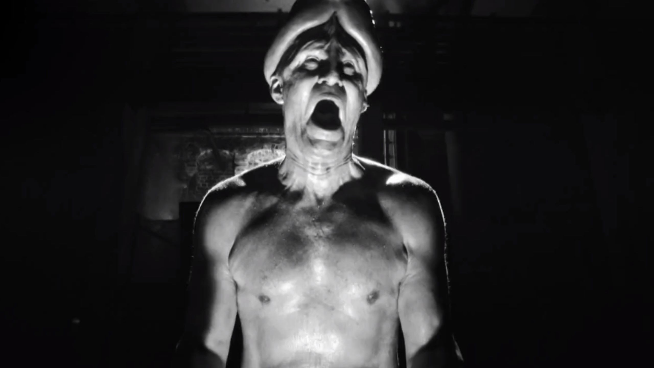 Night of the Living Dicks Background