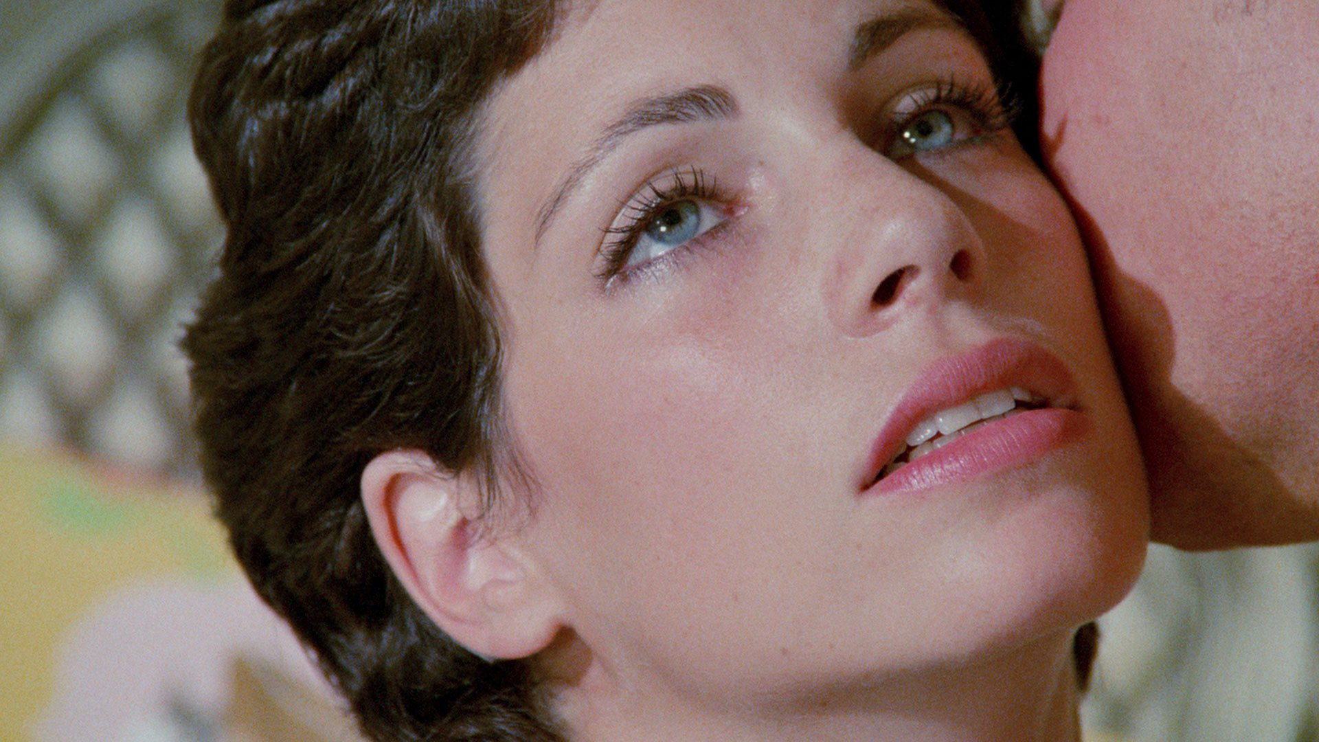 Flesh and Bullets Background