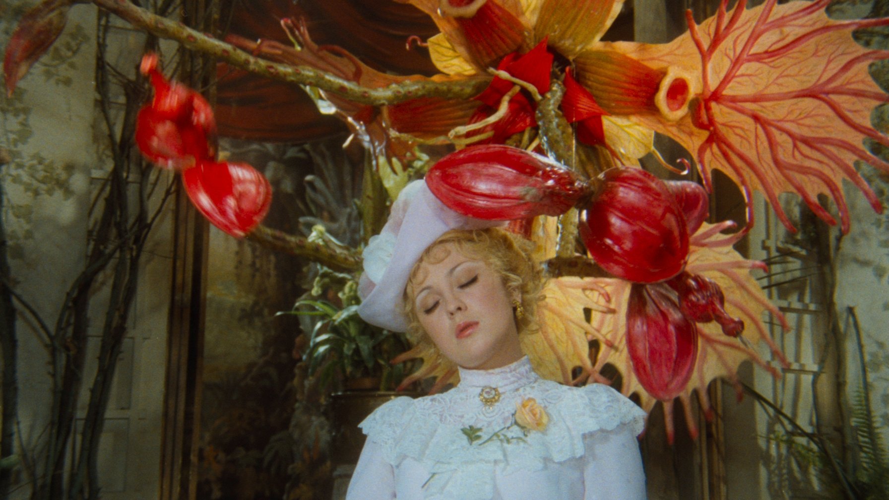 Adela Has Not Had Supper Yet Background