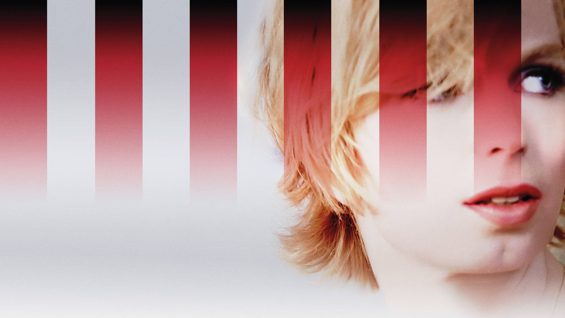 XY Chelsea Background