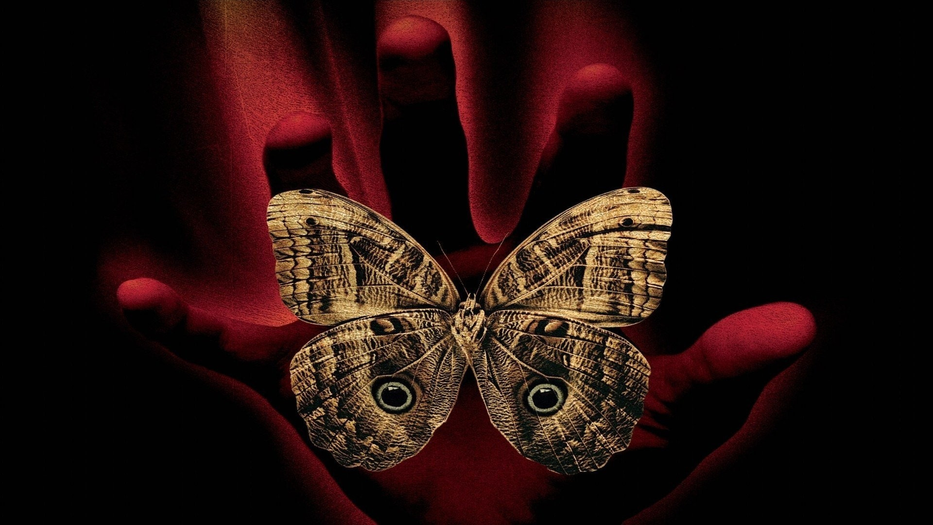 A Sound of Thunder Background