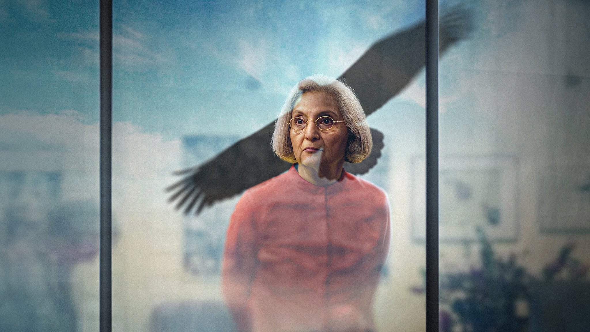 Searching for Sheela Background