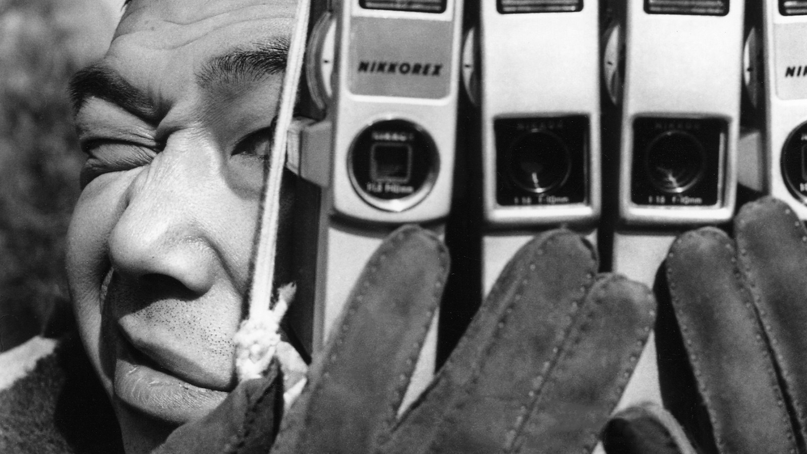 The Pornographers Background