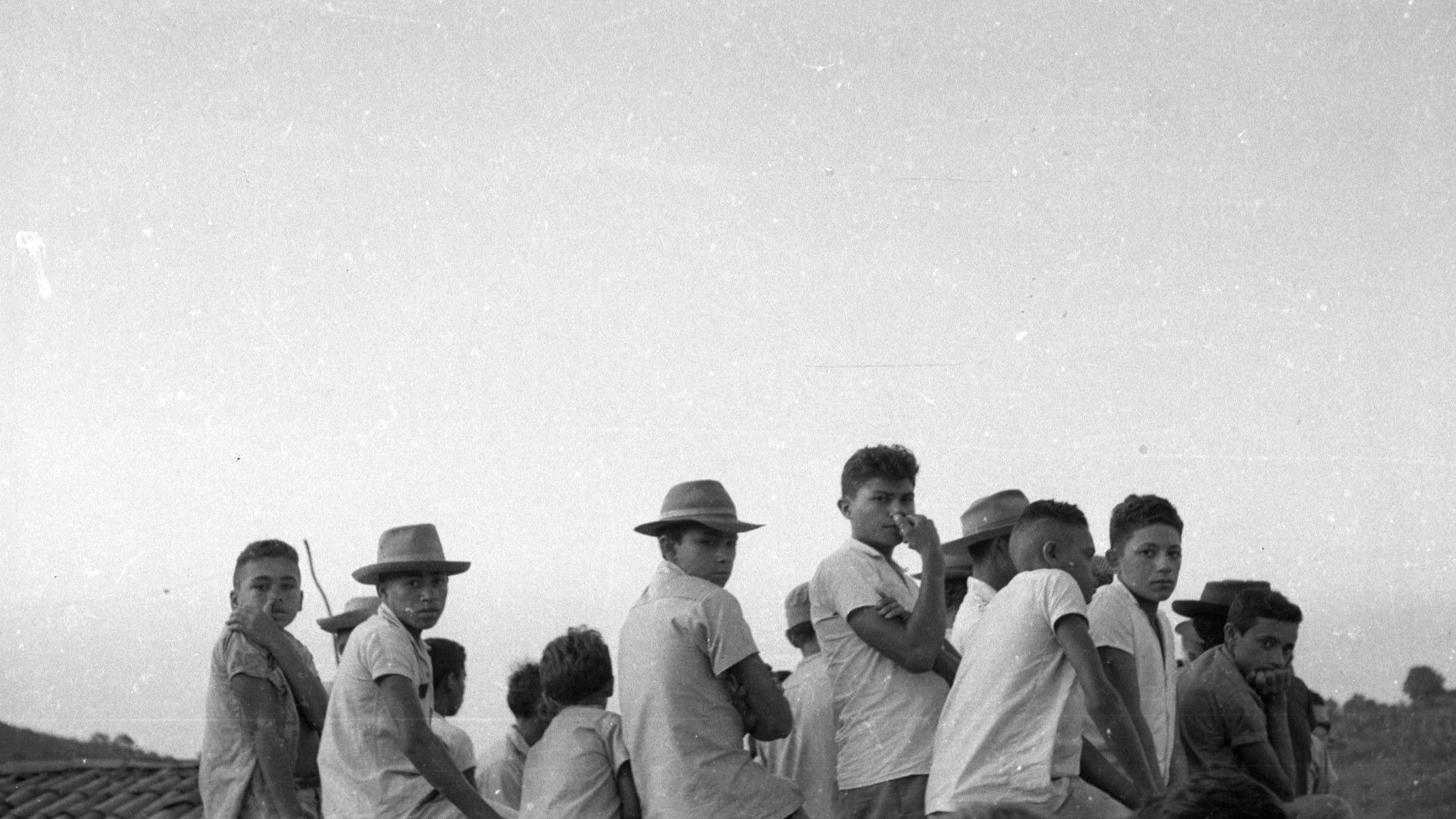 Absolute Majority Background