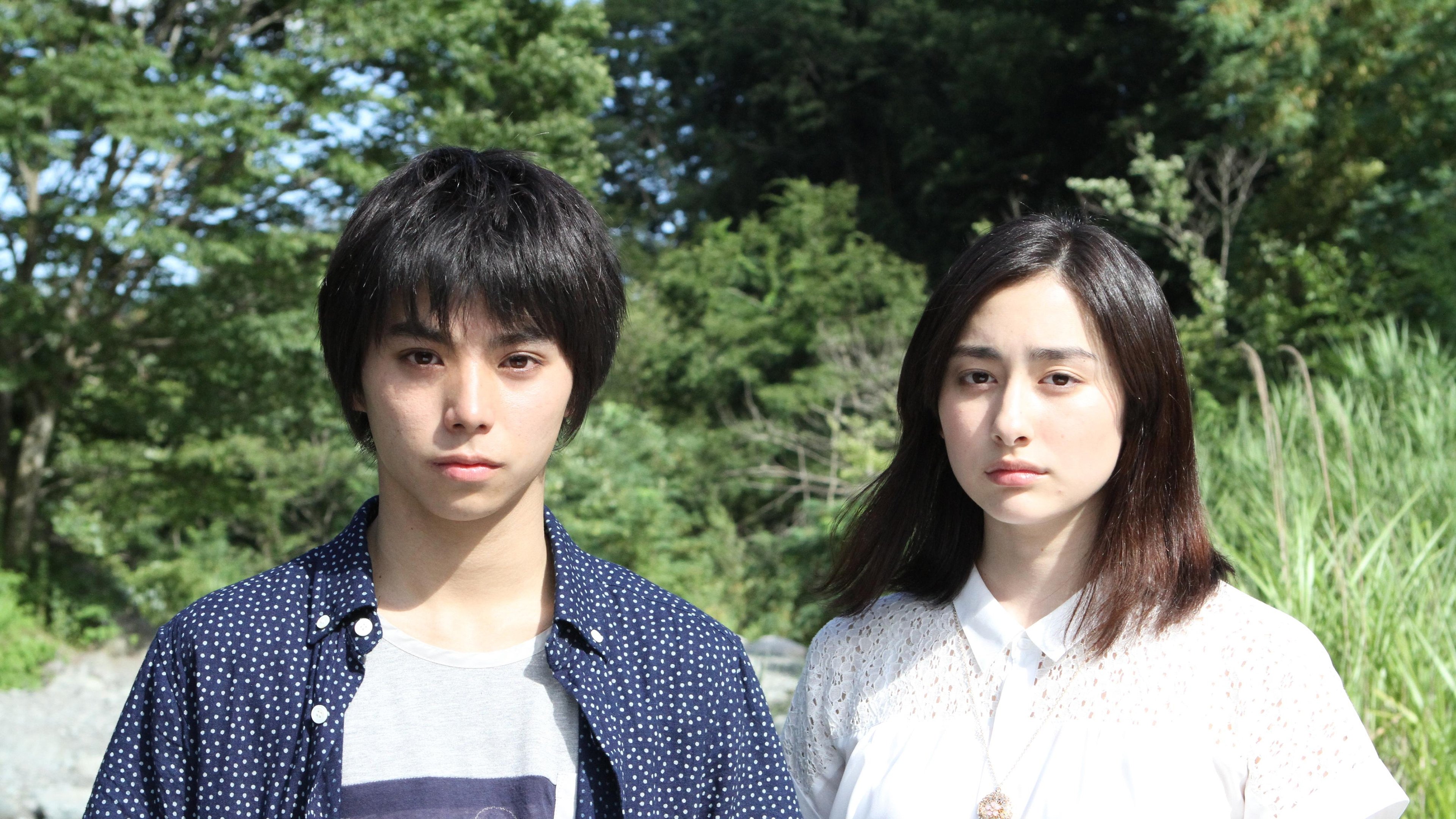 Forget Me Not Background