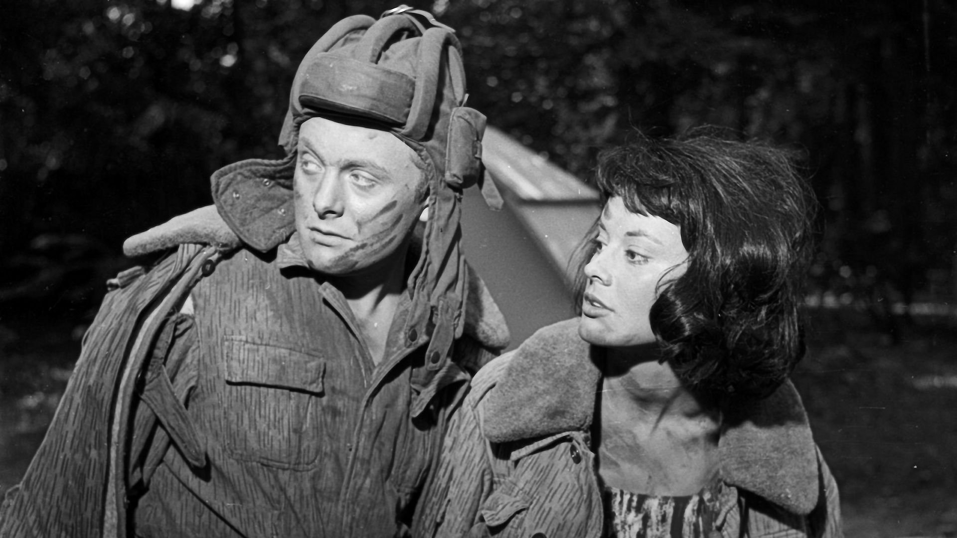 Czerwone berety Background