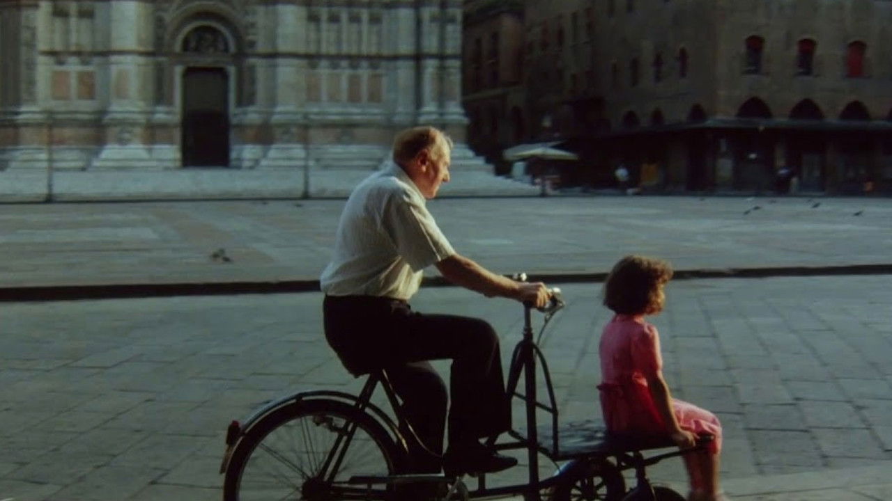 12 Directors for 12 Cities Background