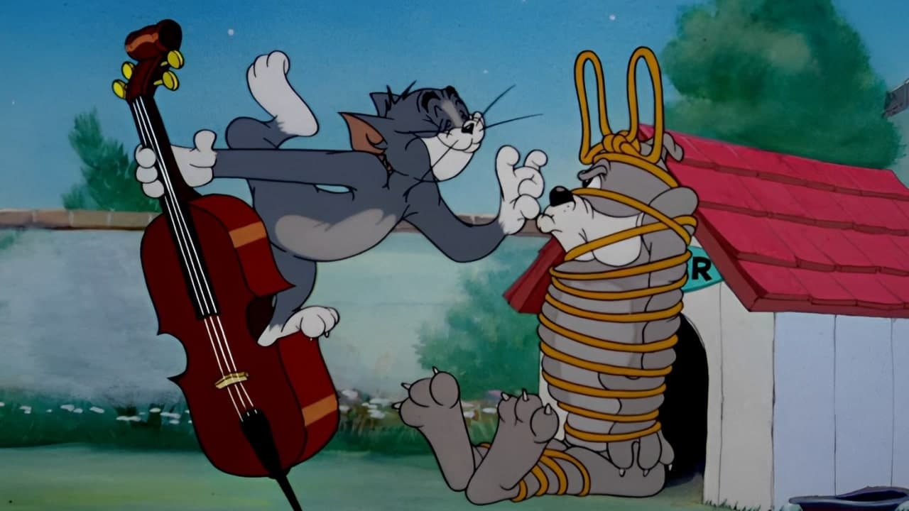 Solid Serenade Background