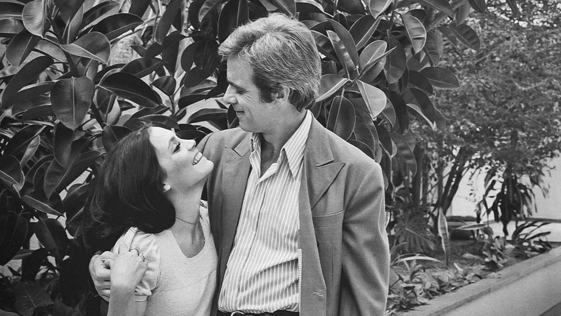 Selva de Pedra Background