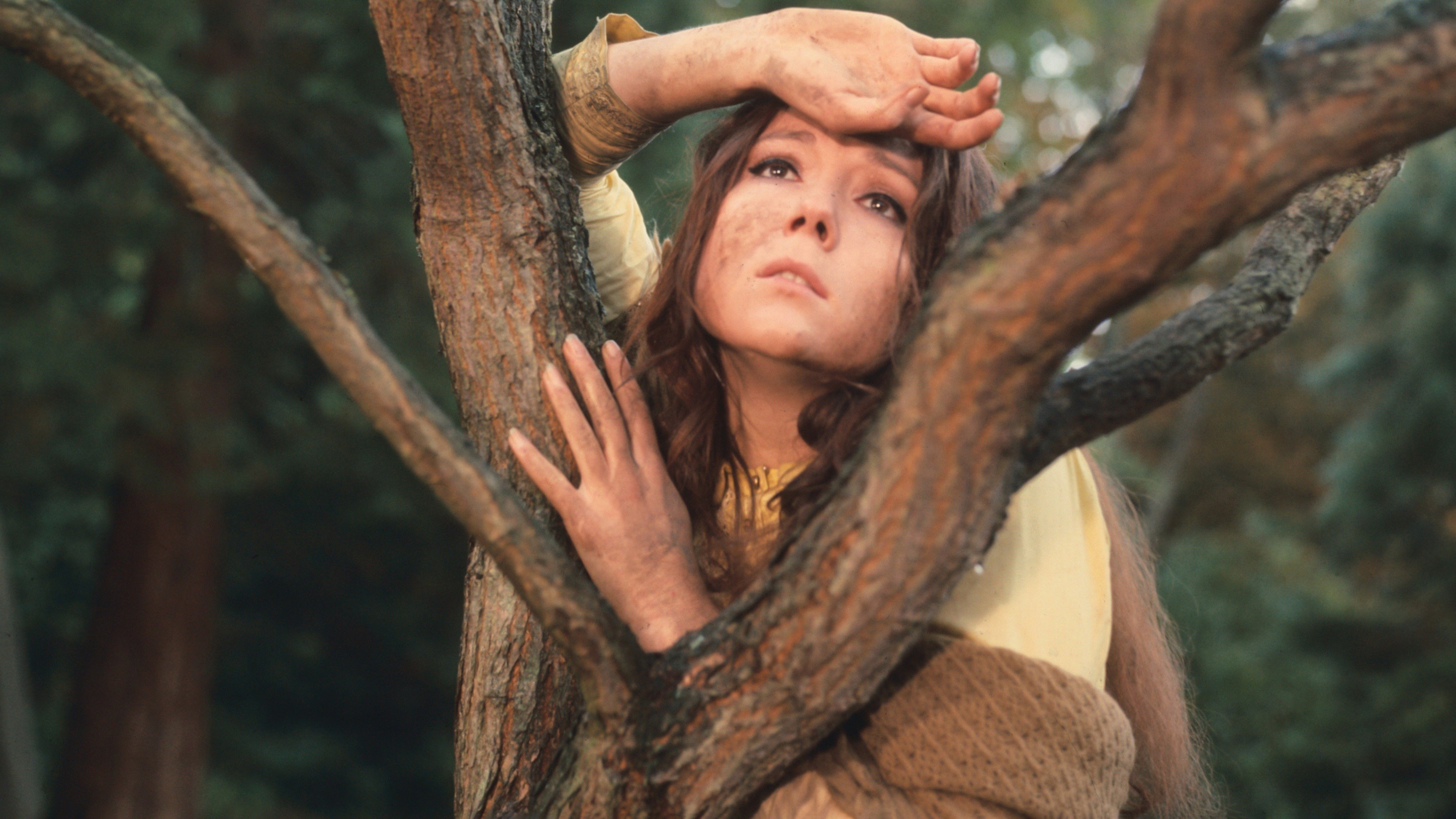 A Midsummer Night's Dream Background