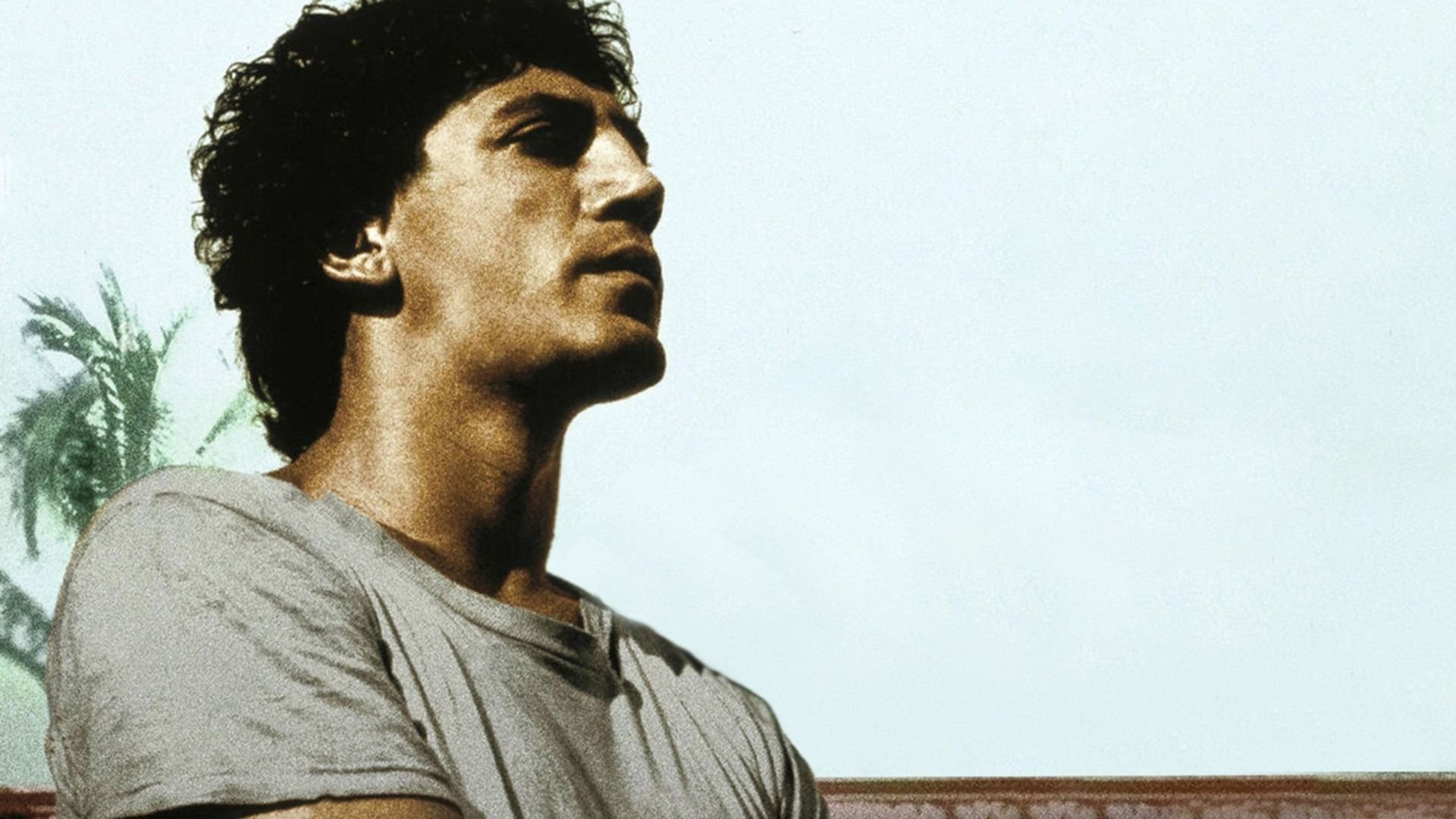 Before Night Falls Background