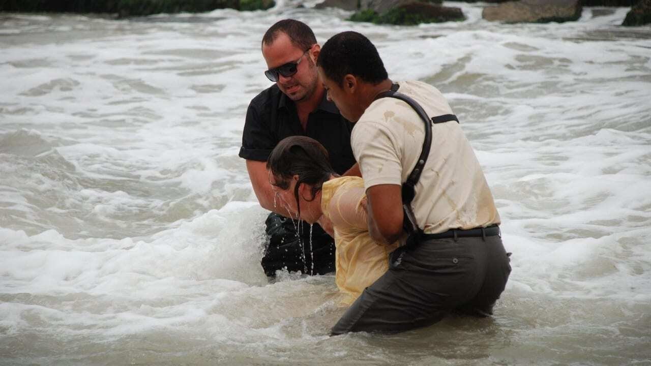 186 Dollars to Freedom Background