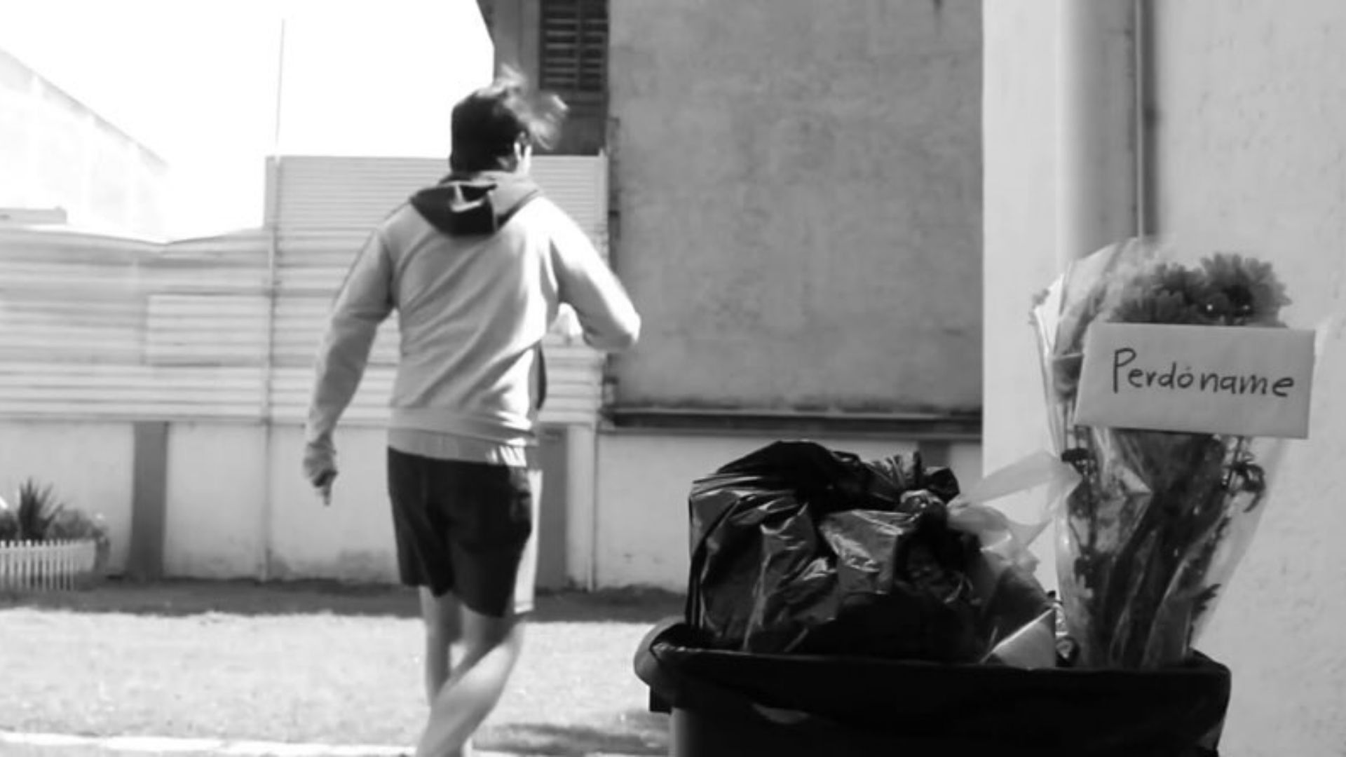 El Boxeador Background