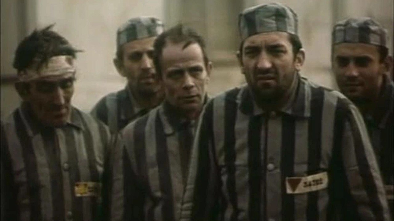 Manifesto for Freedom Background