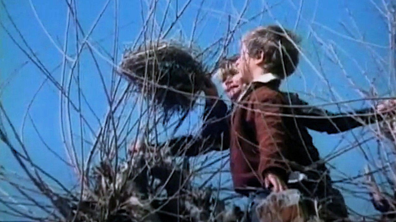 Little Angel, Make Me Happy Background