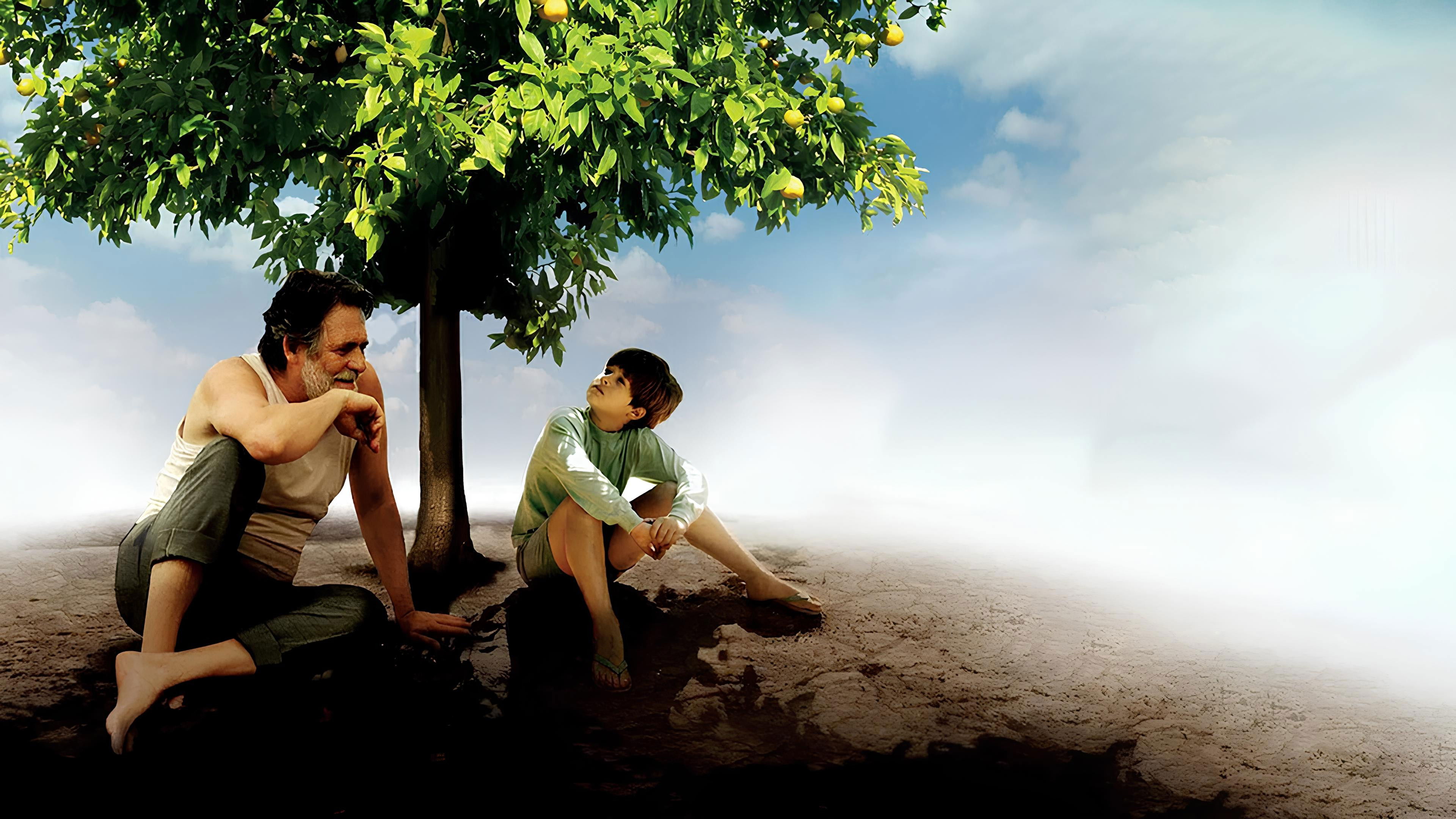 My Sweet Orange Tree Background