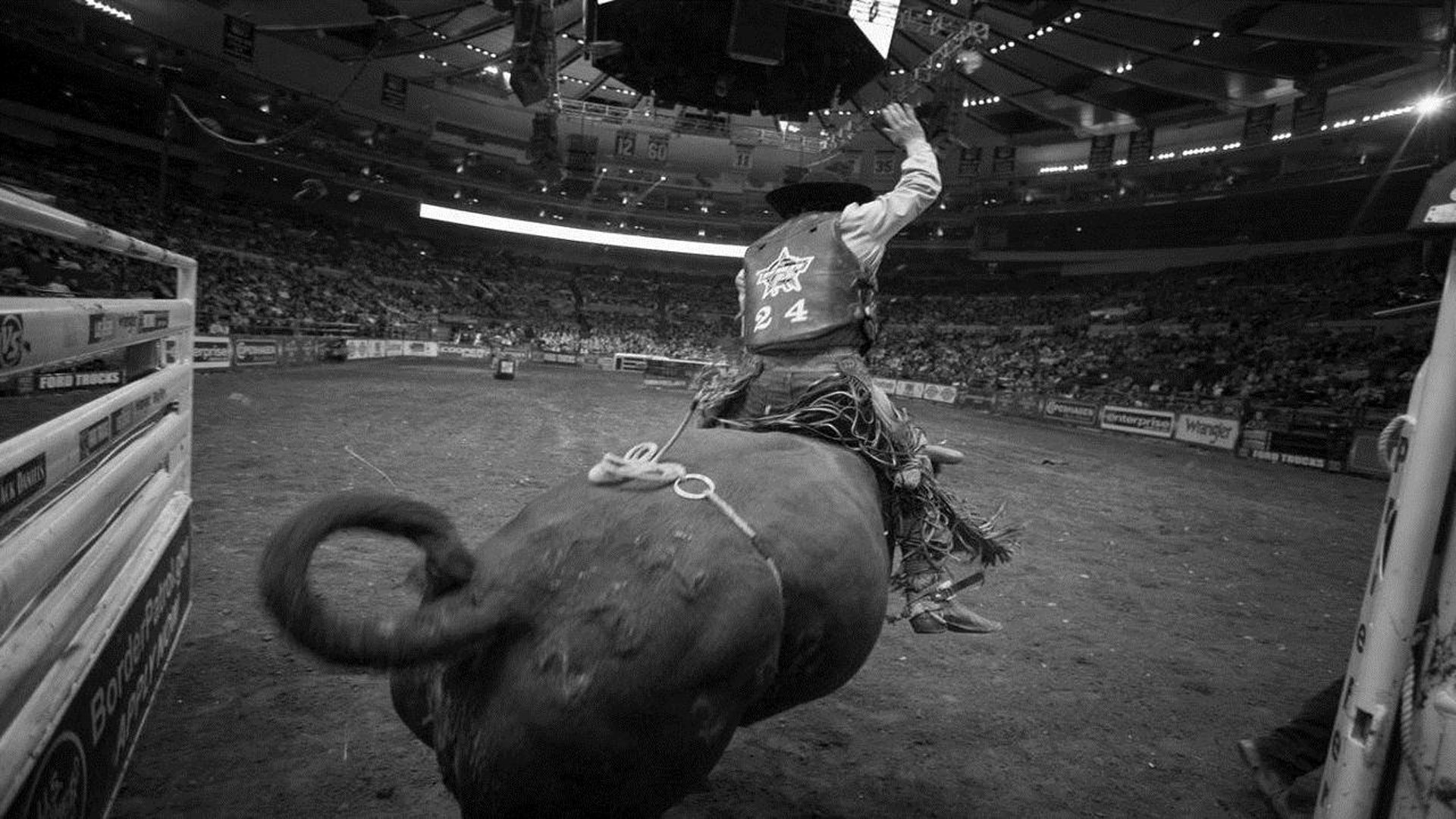 8 Seconds Background