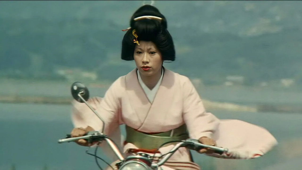 Turtle Geisha Background