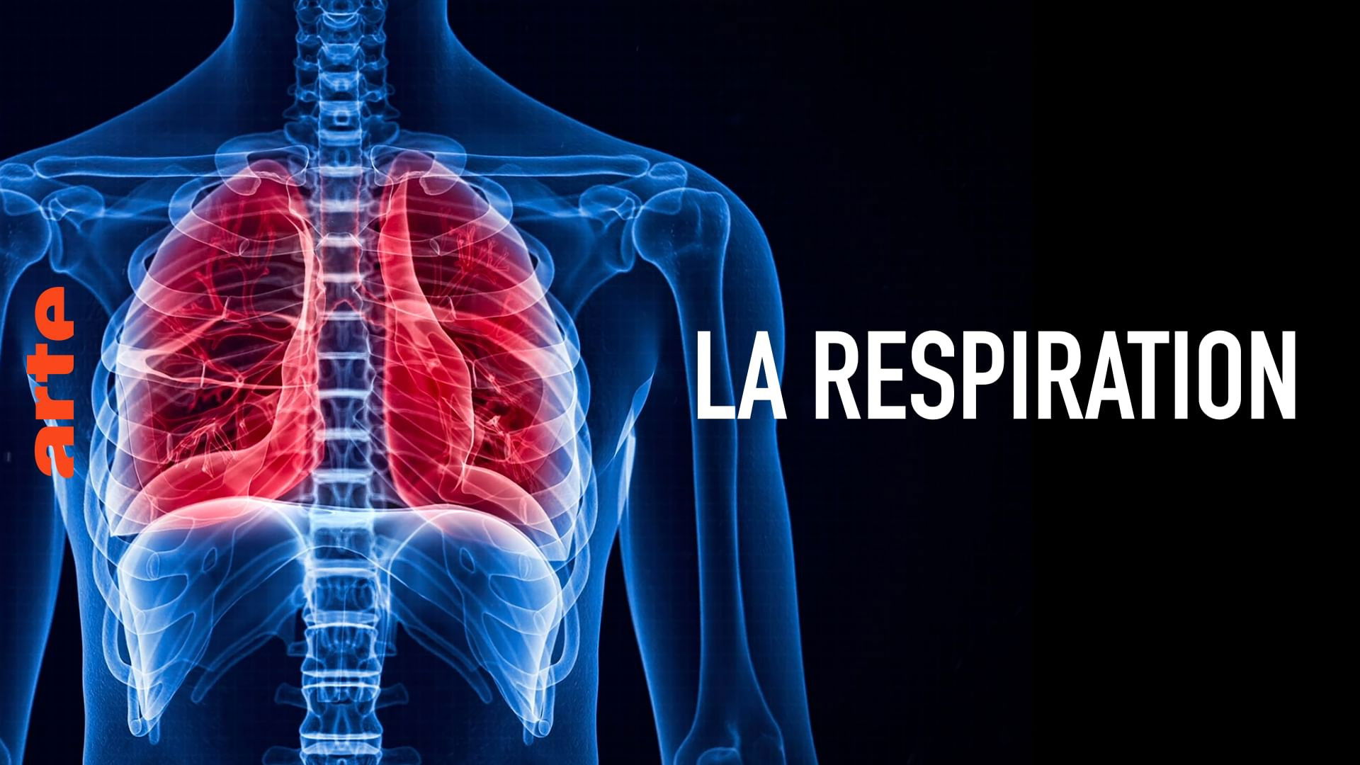 Breathing Background