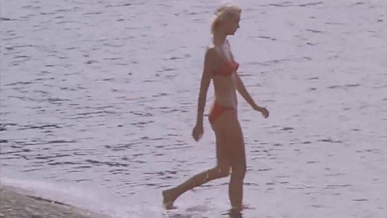 Holidays by the Sea Background