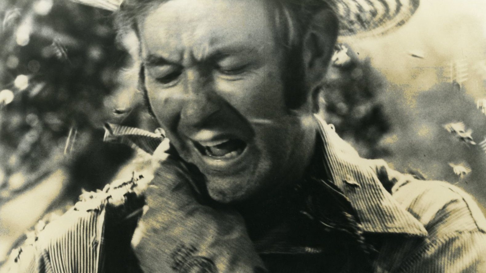 The Savage Bees Background