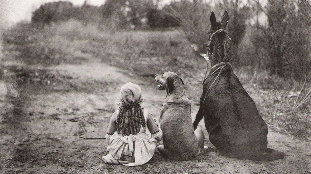Through The Back Door Background