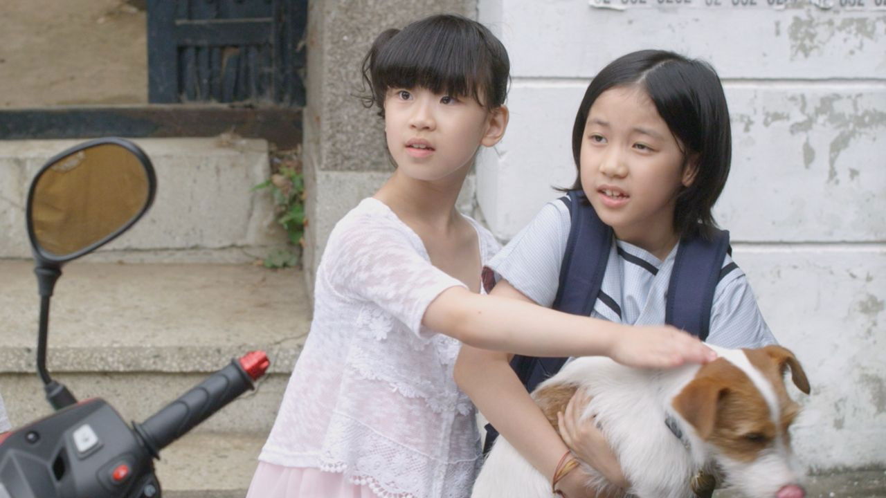 How to Steal a Dog Background