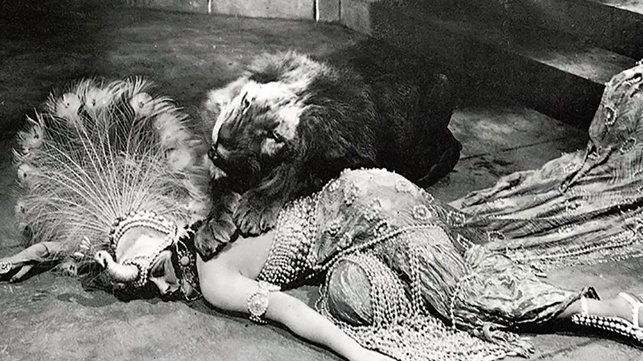 Male and Female Background