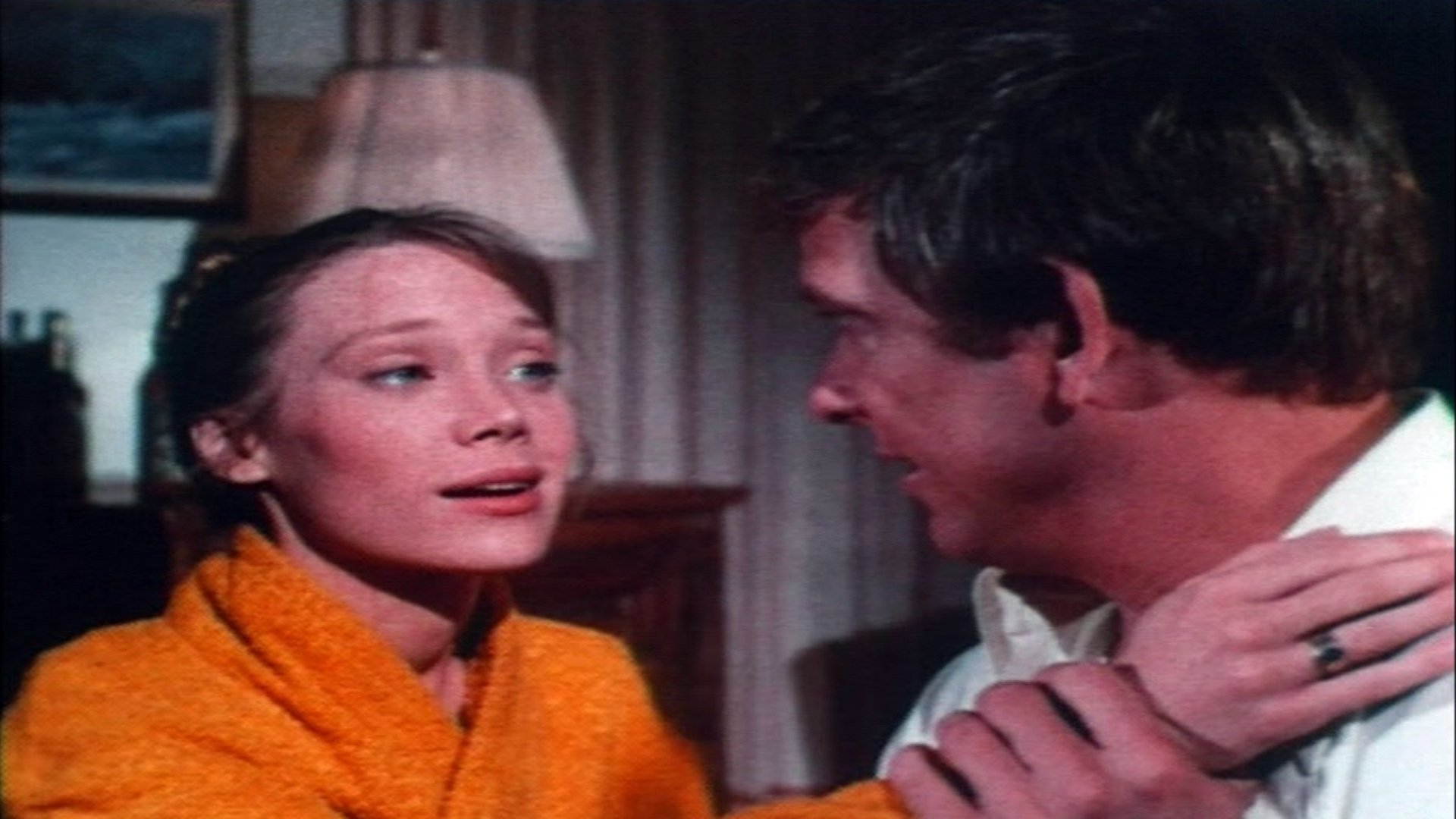 Ginger in the Morning Background