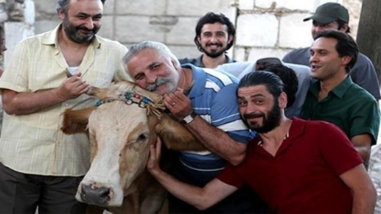 The Exiled Cow Background