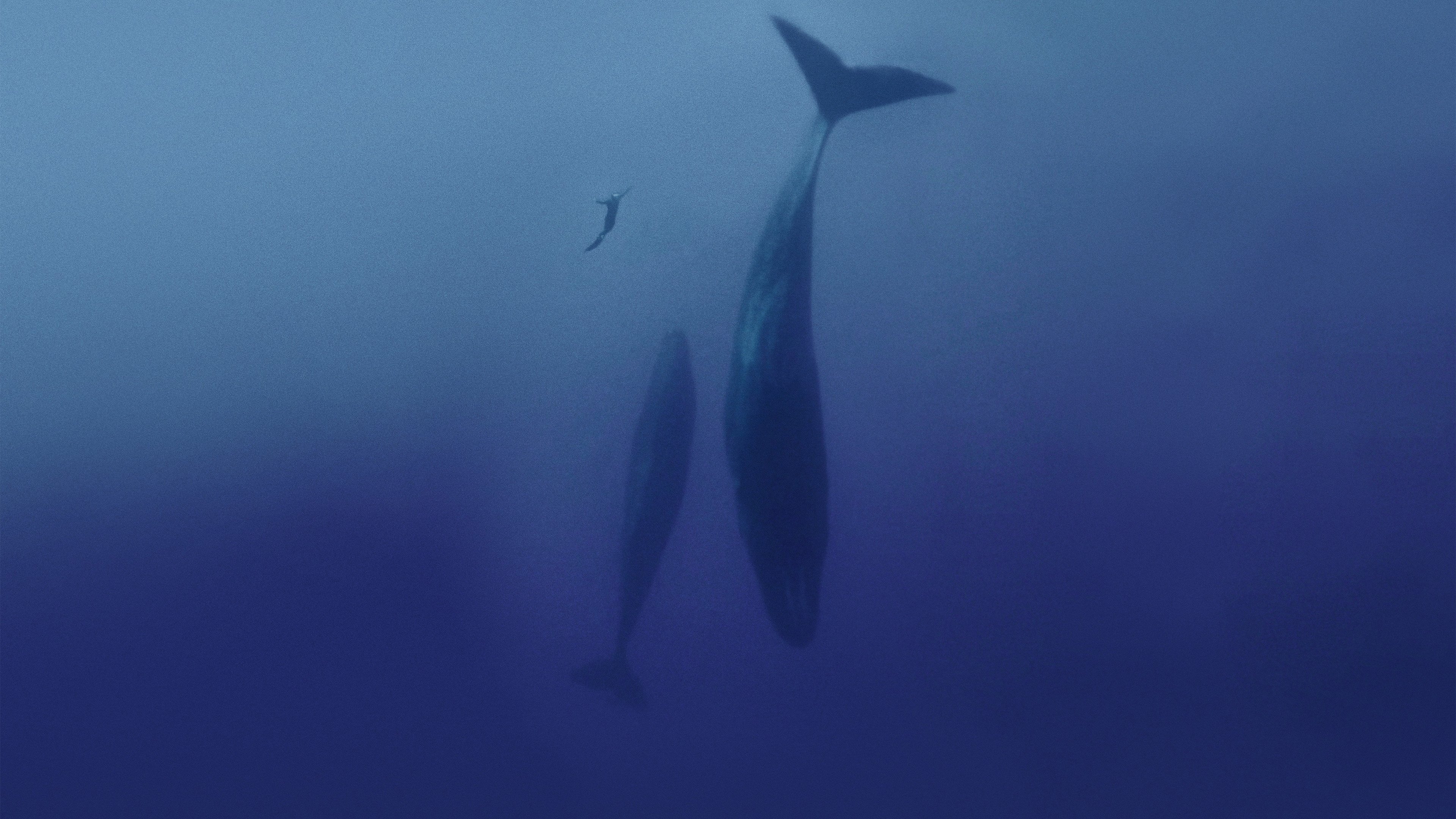 Freediver Background