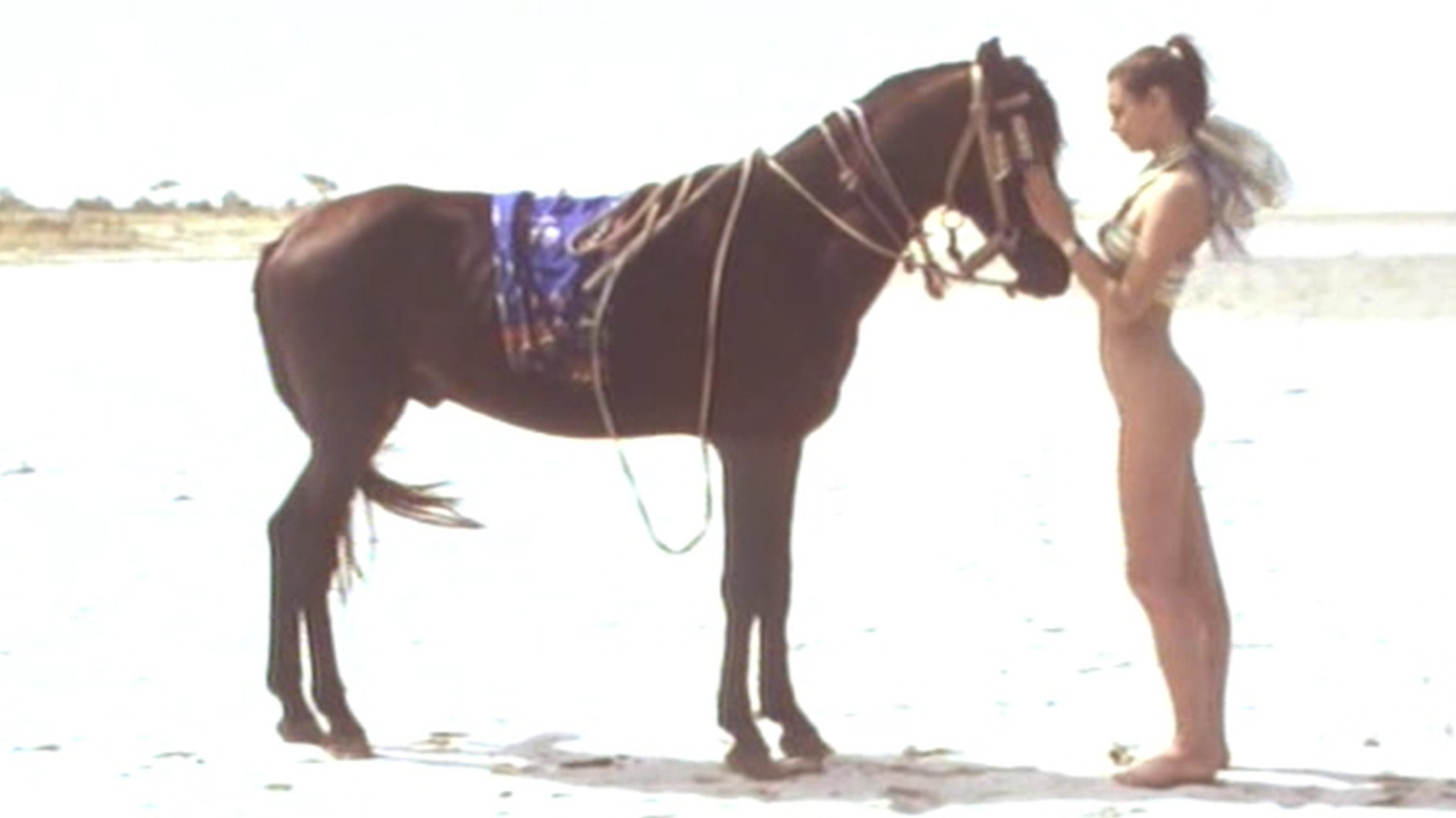 Joy in Africa Background