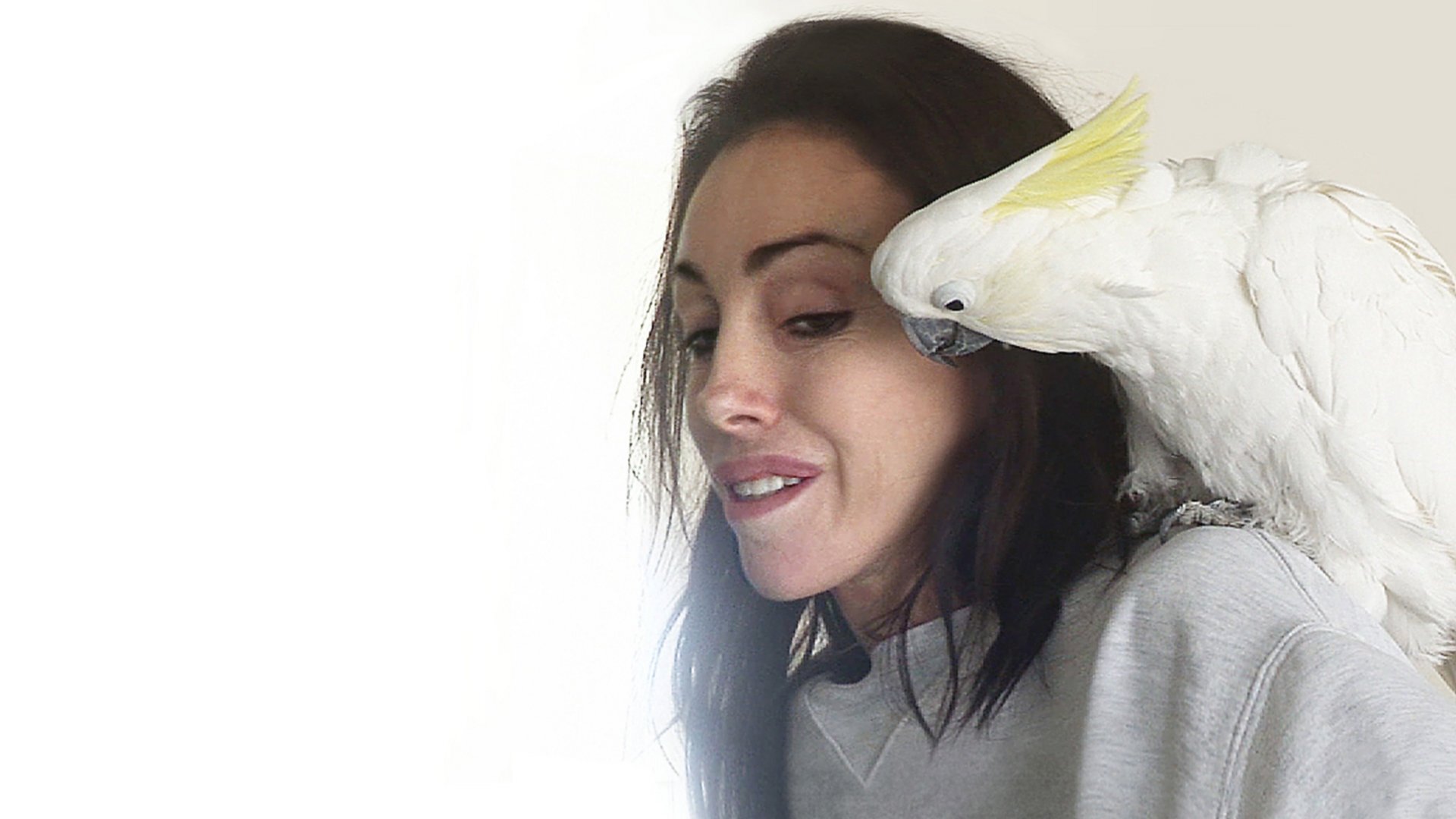 Heidi Fleiss: The Would-be Madam of Crystal Background