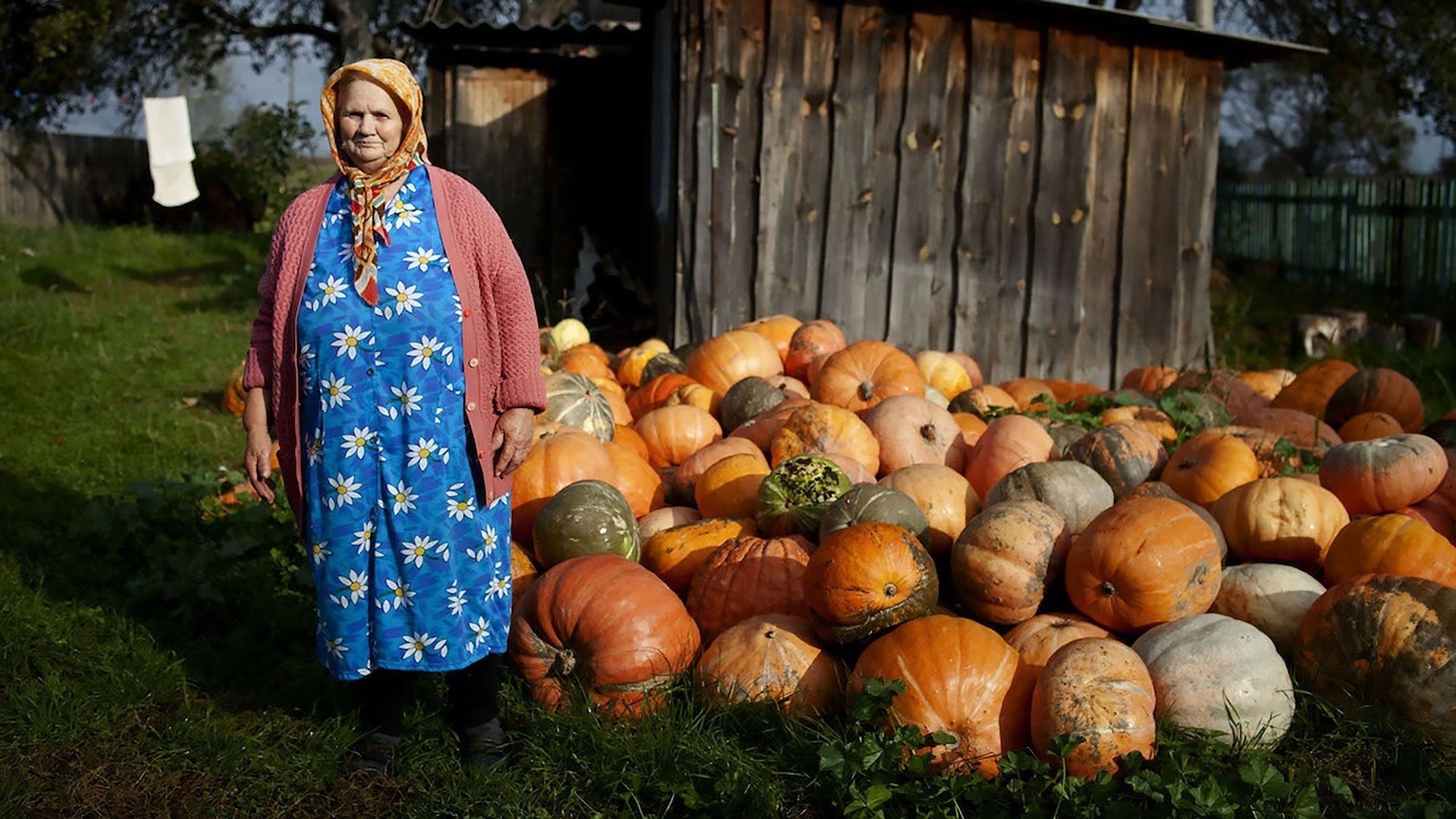 The Babushkas of Chernobyl Background