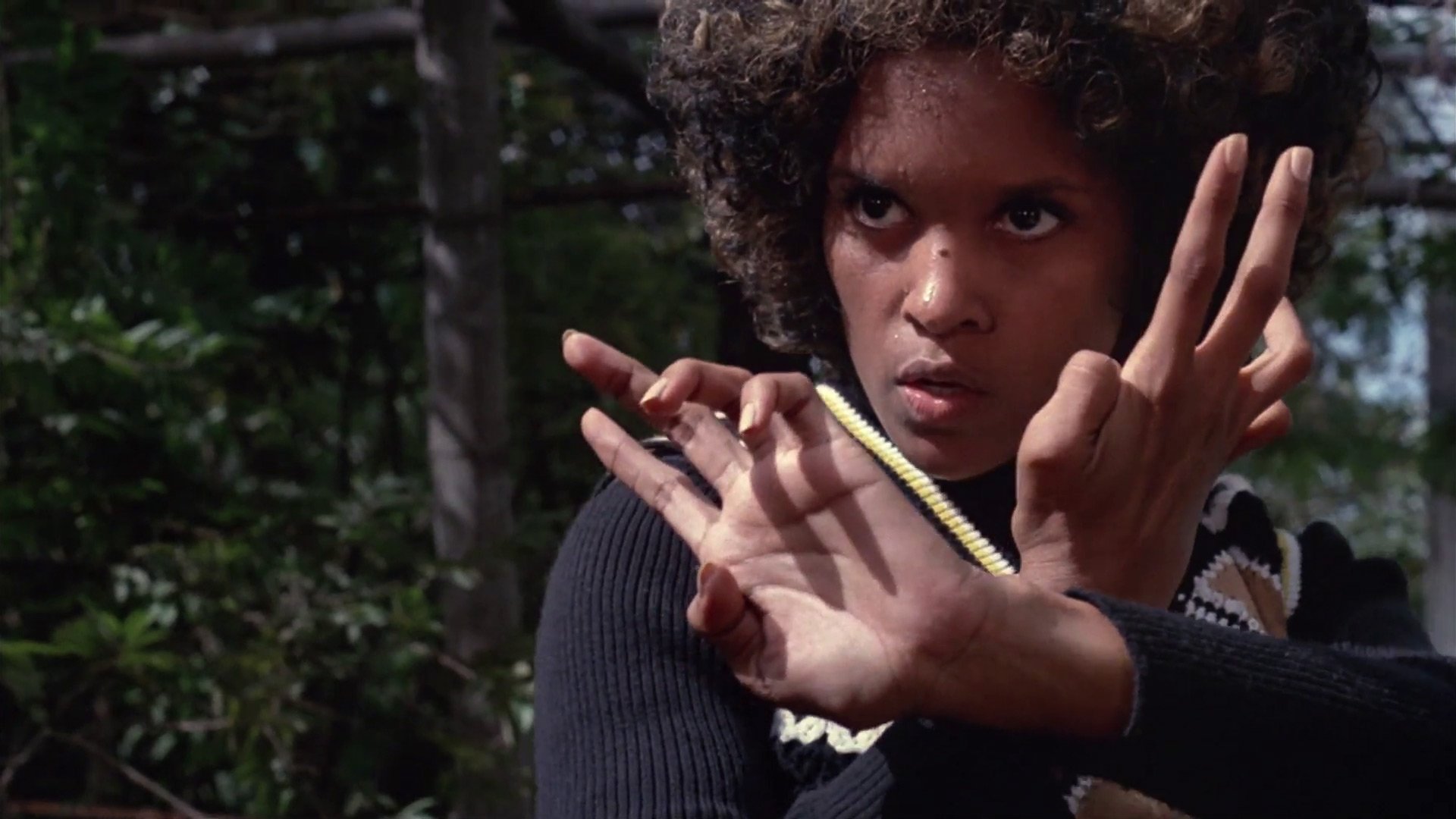 TNT Jackson Background