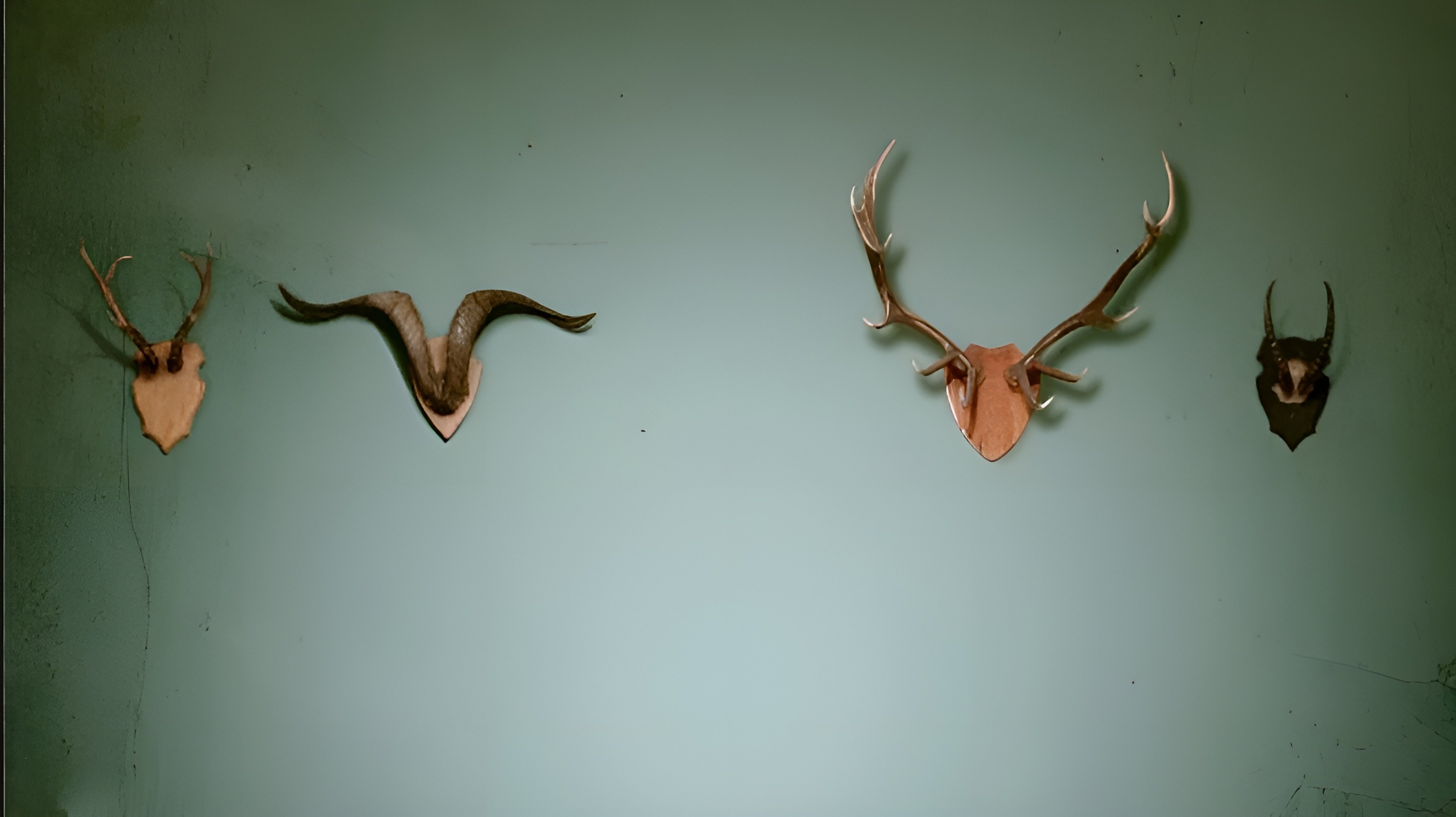 Infidelities Background