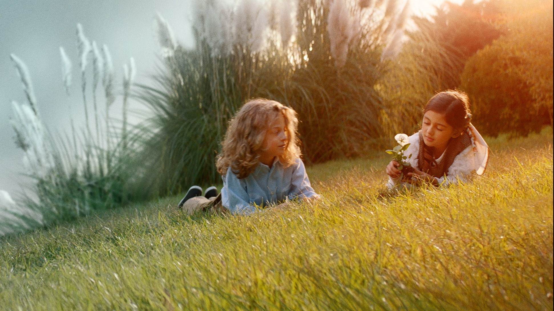 Make a Wish Background