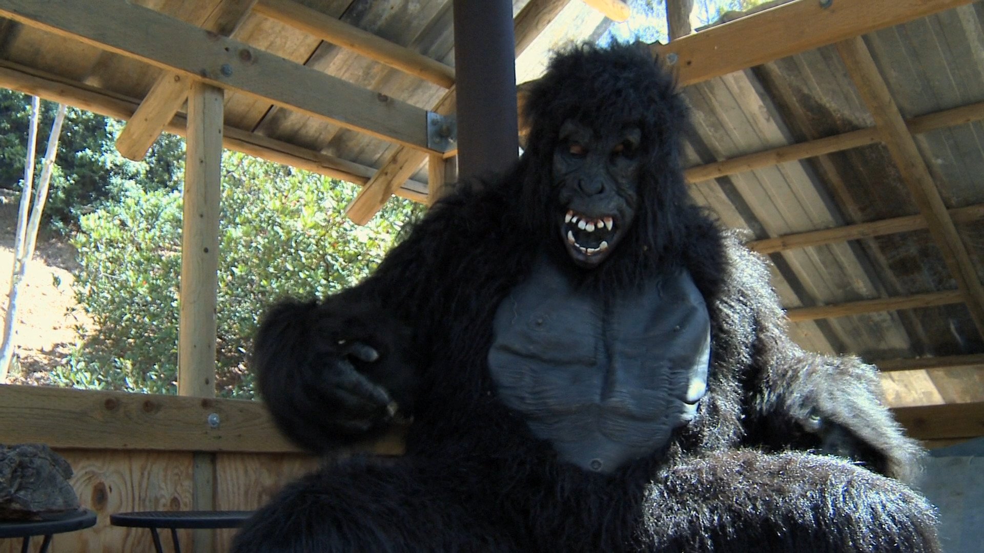 Monster of the Nudist Colony Background