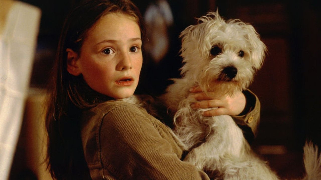 Mein Bruder ist ein Hund Background