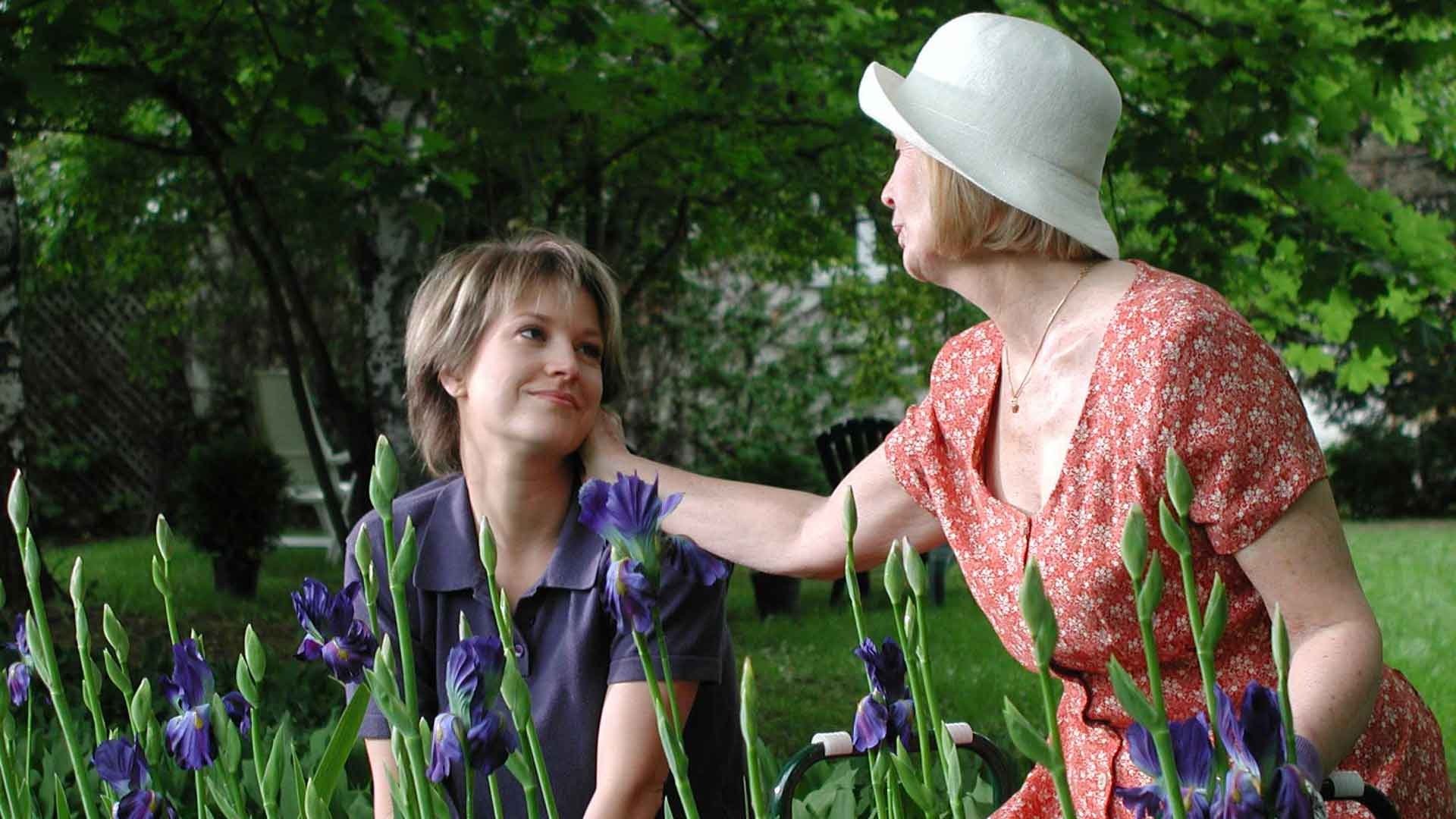 La pension des étranges Background